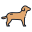 Canine 图标 64x64