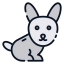 Rabbit 图标 64x64