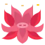 Lotus icon 64x64