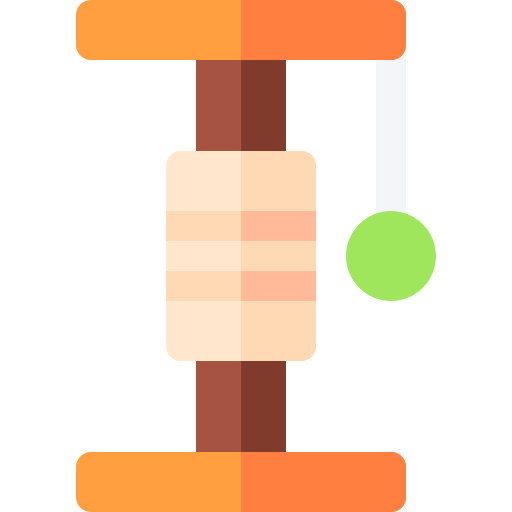 Cat toy biểu tượng