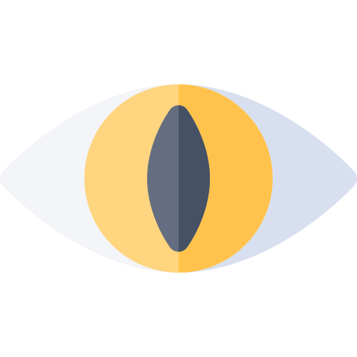 Eye 图标