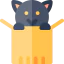 Cat 图标 64x64
