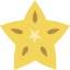 Star fruit biểu tượng 64x64