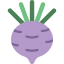 Turnip icon 64x64