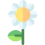 Flower 상 64x64