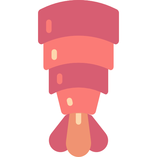 Shrimp icon