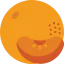 Orange icon 64x64