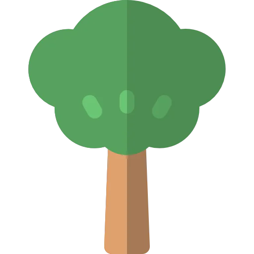 Tree 상