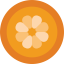 Orange icon 64x64