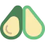 Avocado icon 64x64