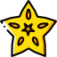 Star fruit Symbol 64x64