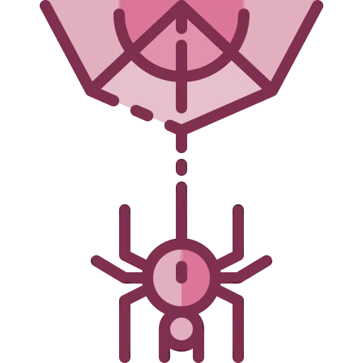 Spider web 图标