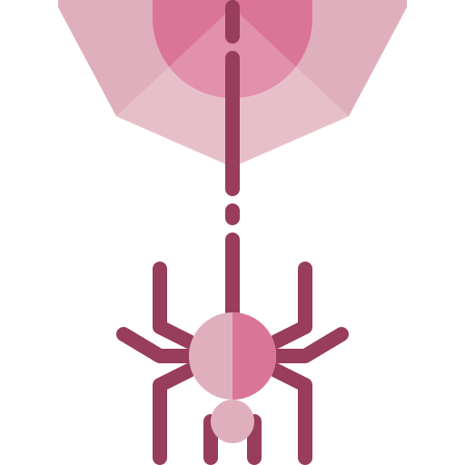 Spider web 图标