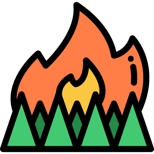 Fire icon