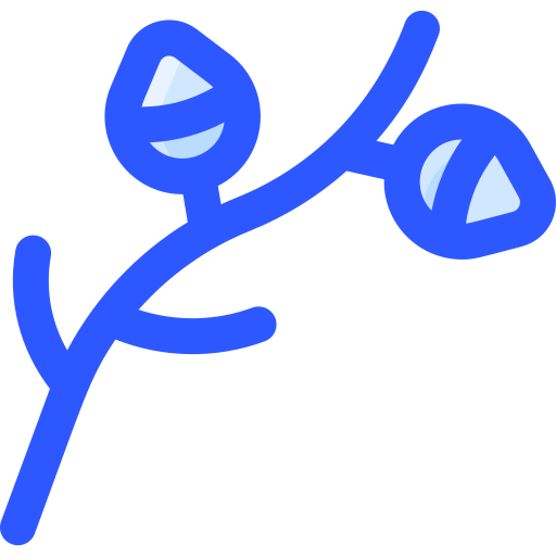Branch 图标