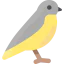 Bird 图标 64x64