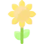 Sunflower 图标 64x64