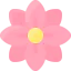 Flower 图标 64x64