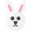 Bunny 图标 64x64