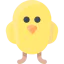 Chicken 图标 64x64