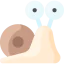 Snail іконка 64x64