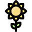 Sunflower 图标 64x64