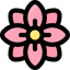 Flower 图标 64x64