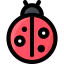 Ladybug 图标 64x64