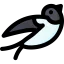 Swallow 图标 64x64