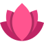 Lotus 图标 64x64