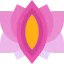 Lotus アイコン 64x64