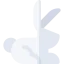Rabbit icon 64x64
