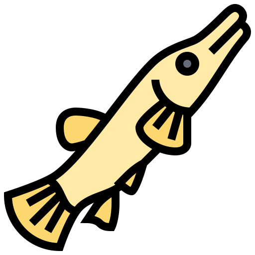 Fish icon
