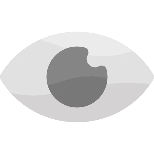 Vision icon