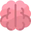 Brain icon 64x64