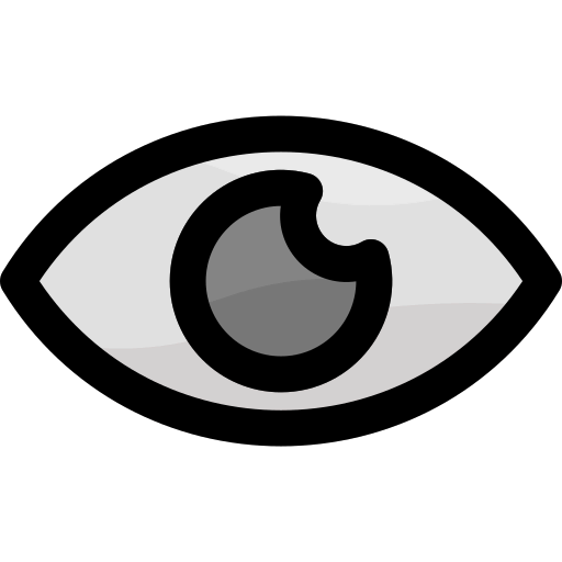 Vision icon
