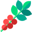 Coffee plant 图标 64x64