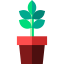 Coffee plant 图标 64x64
