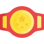 Champion belt 图标 64x64