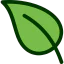 Leaf icon 64x64