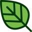 Leaf icon 64x64