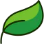 Leaf icon 64x64