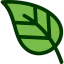 Leaf icon 64x64