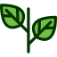 Leaf icon 64x64