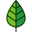 Leaf icon 64x64