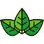 Leaf icon 64x64