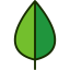 Leaf icon 64x64