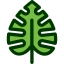 Leaf icon 64x64