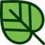 Leaf icon 64x64