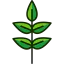 Leaf icon 64x64